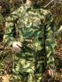 ind3c-s.jpg (5308 bytes)