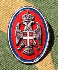 rsci1bs.jpg (49136 bytes)