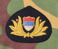 yucb8s.jpg (4490 bytes)