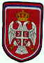 rs142s.jpg (2123 bytes)