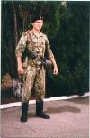 soldiers.jpg (5972 bytes)