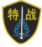 chp70s.jpg (3824 bytes)