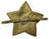 1918star2s.jpg (42161 bytes)