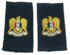 syrsb21s.jpg (52033 bytes)